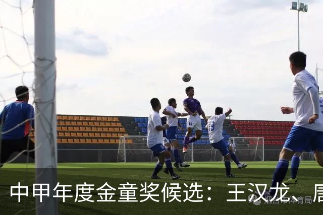 中甲年度金童奖候选：王汉龙、唐瑞、苏宇亮、肇宸惟等入选