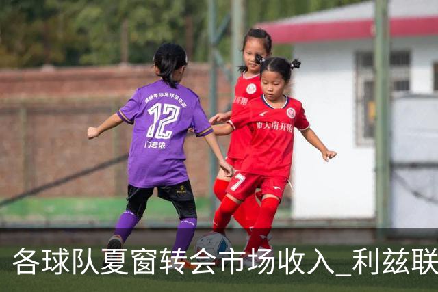 各球队夏窗转会市场收入 利兹联1.629亿高居榜首