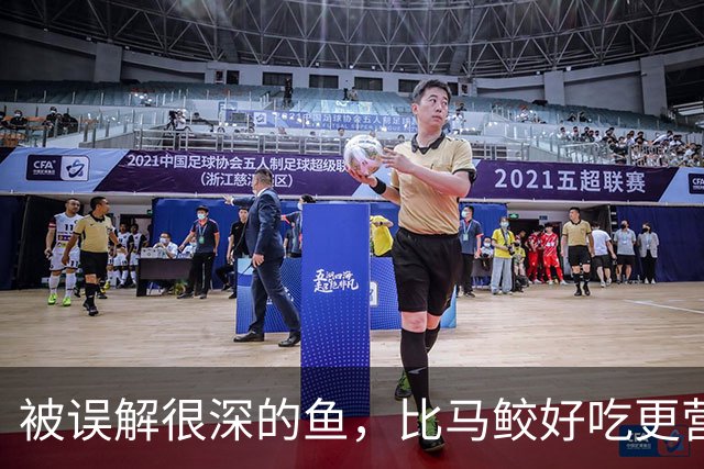 被误解很深的鱼，比马鲛好吃更营养，鱼肉似“千层糕”，我国独有